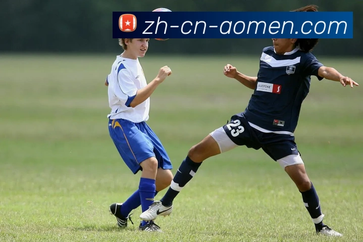 澳门十大游戏网站APP 封面图